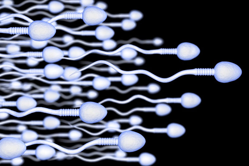 Best Vitamins To Boost Sperm Volume: Essential Nutrients For Male Fertility - GratiTea